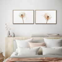 Botanical Prints - DANDELIONS -(2 sets)-canvas prints - poster prints