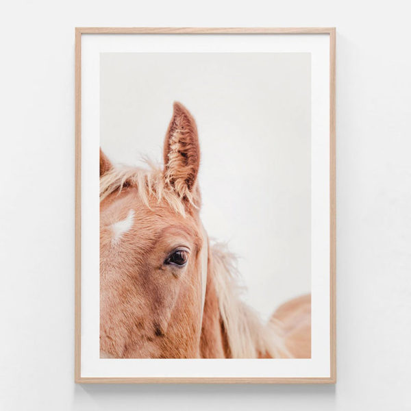 Animals Art - Brown Mare - Canvas Prints-Poster Prints - Image 2