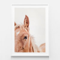 Animals Art - Brown Mare - Canvas Prints-Poster Prints - Image 3