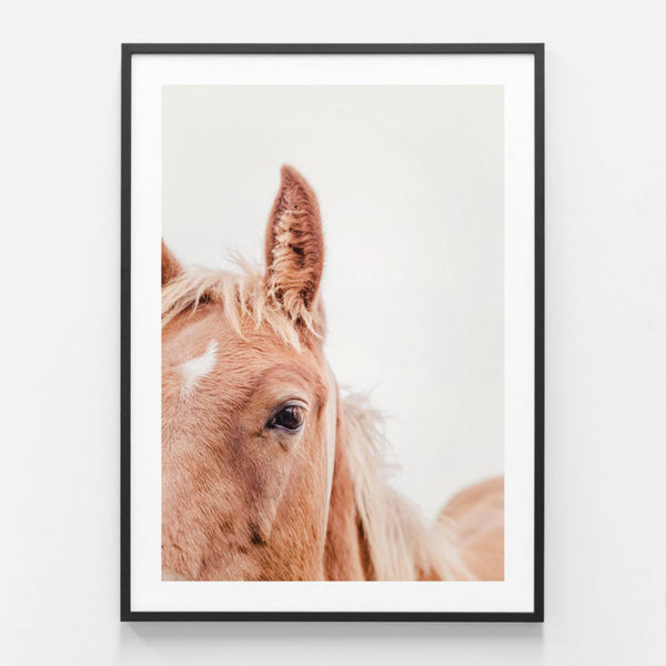 Animals Art - Brown Mare - Canvas Prints-Poster Prints - Image 4
