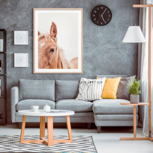 Animals Art - Brown Mare - Canvas Prints-Poster Prints