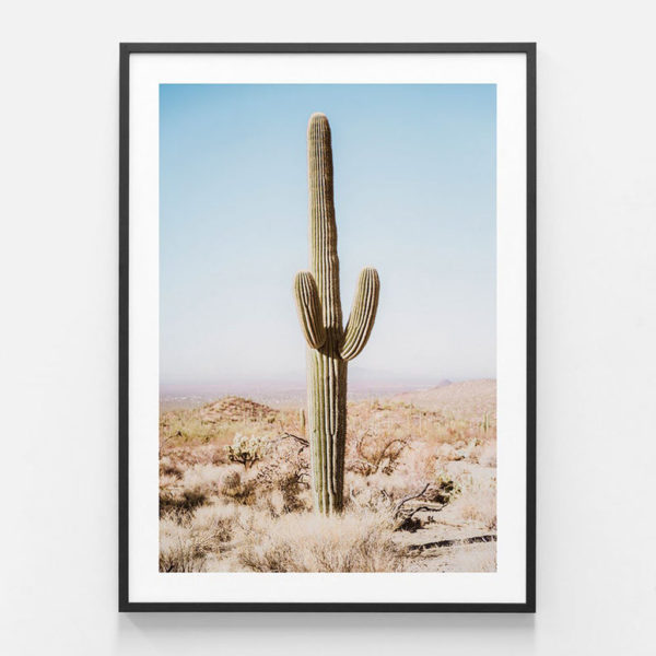 Botaniacal art prints - California Desert Cacti- Canvas Prints - Poster Prints - Image 4