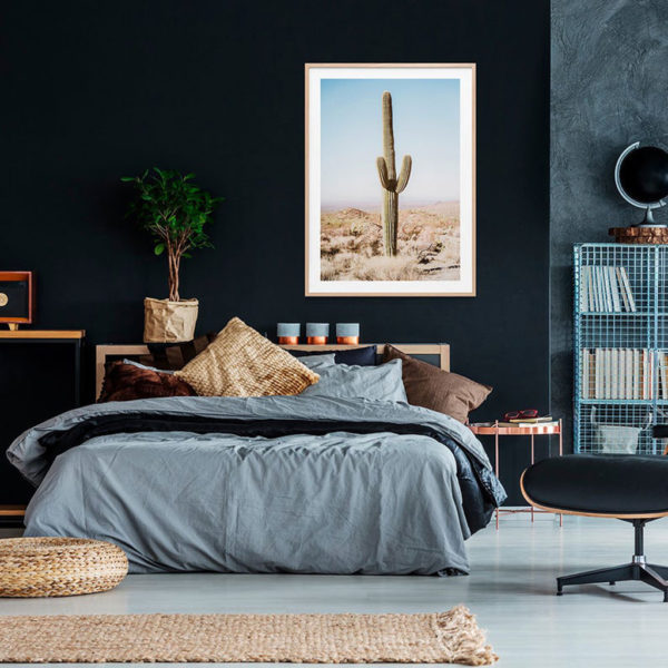 Botaniacal art prints - California Desert Cacti- Canvas Prints - Poster Prints