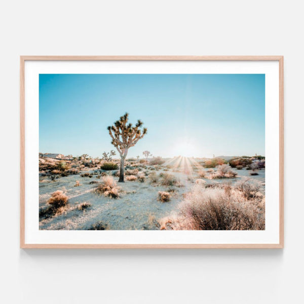 Landscape art prints - Desert Sunburst - Canvas Prints - Poster Prints - Image 5