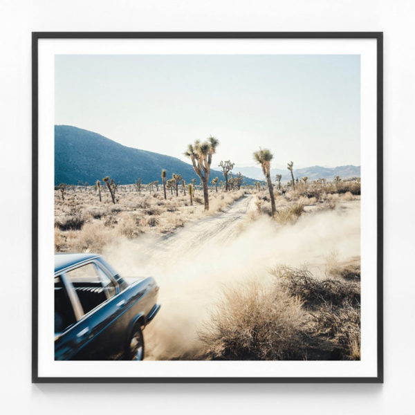 Botanical Art Prints - Fear & Loathing- Canvas Prints- Poster Prints - Image 3