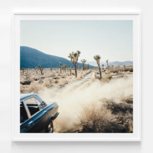 Botanical Art Prints - Fear & Loathing- Canvas Prints- Poster Prints