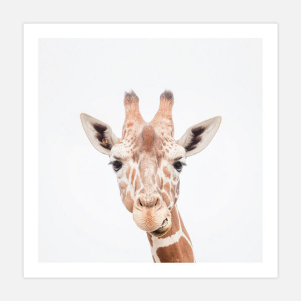 Animals Art Prints - Giraffe Print - Canvas Prints- Poster Prints - Image 4
