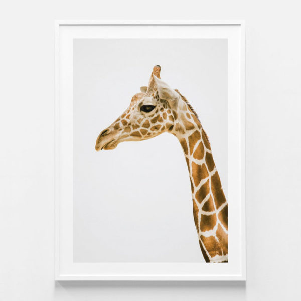 Animals art prints - Hello Giraffe - Canvas Prints - Poster Prints - Image 3