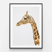 Animals art prints - Hello Giraffe - Canvas Prints - Poster Prints - Image 4