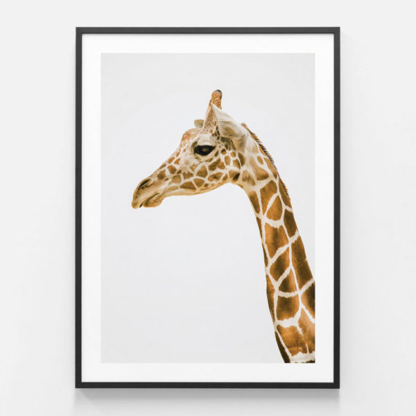 Animals art prints - Hello Giraffe - Canvas Prints - Poster Prints - Image 4