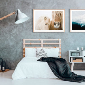 Animals art prints - Icelandic Horse - Canvas Prints - Poster Prints
