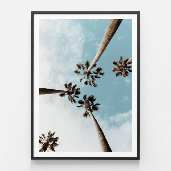 Wall art prints - Underneath The Palms - Canvas Prints - Poster Prints - Image 6