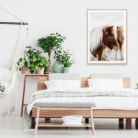 Animals art prints -Wild Horse - Canvas Prints - Poster Prints