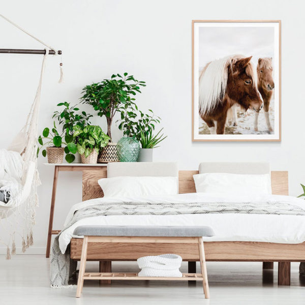 Animals art prints -Wild Horse - Canvas Prints - Poster Prints