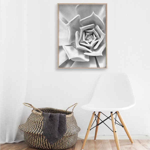Wall art prints-Botanical Teen Room Decor Floral (3 sets) - Poster Prints -Canvas Prints - Image 2
