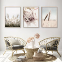 Botanical Art prints - Teen Girl Room Decor(3 sets) - Poster Prints -Canvas Prints