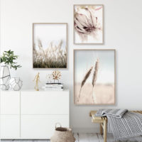 Botanical Art prints - Teen Girl Room Decor(3 sets) - Poster Prints -Canvas Prints - Image 3