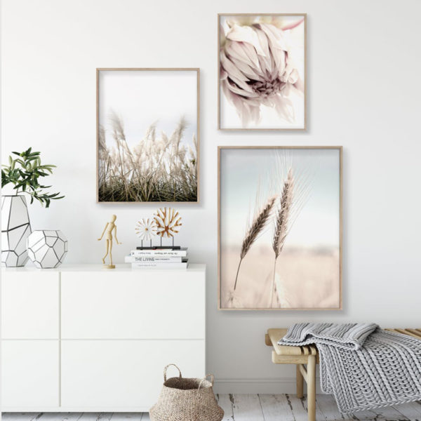 Botanical Art prints - Teen Girl Room Decor(3 sets) - Poster Prints -Canvas Prints - Image 3