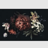 Botanical art prints - Floral with black background - Canvas Prints - Poster Prints - Image 2