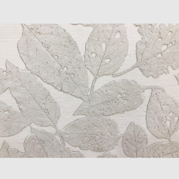 Botanical art prints - Silver Leaves - Canvas Prints - Poster Prints - Image 2