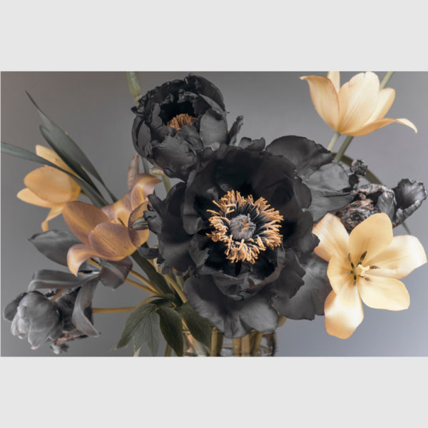 Wall Art - Blossom In Grey Background - Canvas Prints - Poster Prints - Image 2
