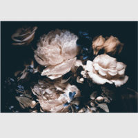 Wall Art - Blossom In Black Background - Canvas Prints - Poster Prints - Image 2