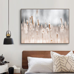 Wall Art - Grass (white serious) - Poster Prints -Canvas Prints