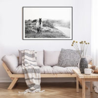Animals art prints -Black and white horse- Canvas Prints - Poster Prints