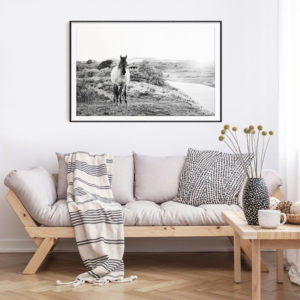 Animals art prints -Black and white horse- Canvas Prints - Poster Prints