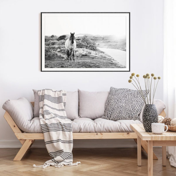 Animals art prints -Black and white horse- Canvas Prints - Poster Prints
