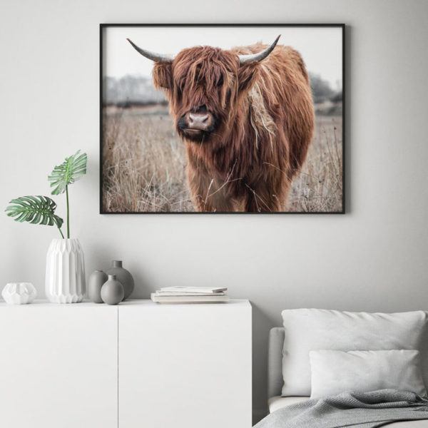 Animals art prints - Highland Cow - Canvas Prints - Poster Prints - Image 2