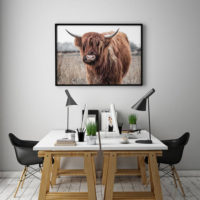 Animals art prints - Highland Cow - Canvas Prints - Poster Prints - Image 3