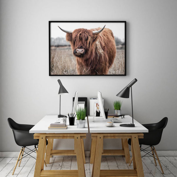Animals art prints - Highland Cow - Canvas Prints - Poster Prints - Image 3