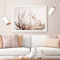 Wall art - Pure Protea II - Canvas Prints - Poster Prints - Image 4