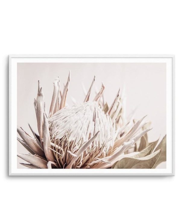 Wall art - Pure Protea II - Canvas Prints - Poster Prints - Image 3