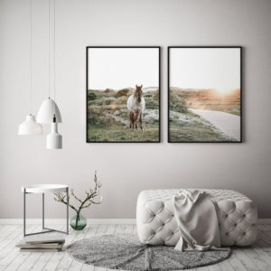 Wall art- Horse 2 sets- Canvas Prints- Poster Prints