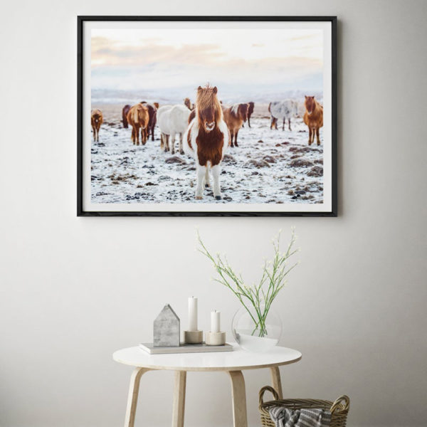 Animals art prints - Wild Horses - Canvas Prints - Poster Prints - Image 2