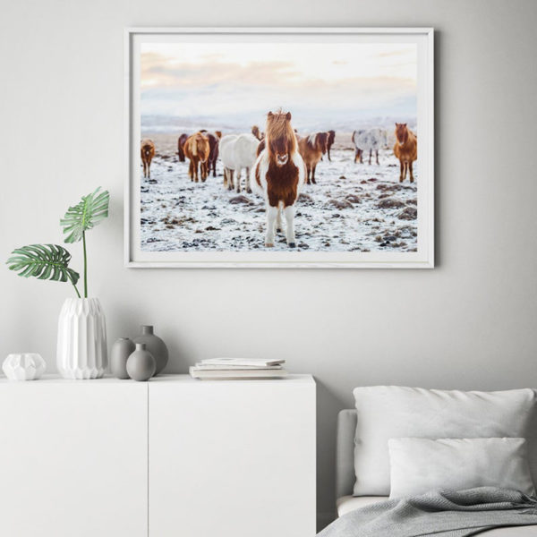Animals art prints - Wild Horses - Canvas Prints - Poster Prints