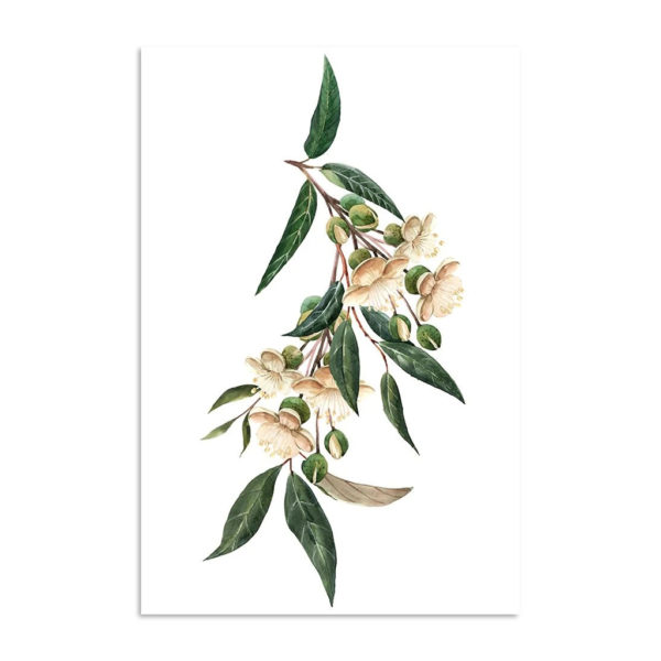 Wall art - Durian-leaves-and-flowers ( 2 sets) - Canvas Prints - Poster Prints - Image 2