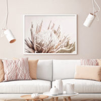 Wall art - Pure Protea II - Canvas Prints - Poster Prints
