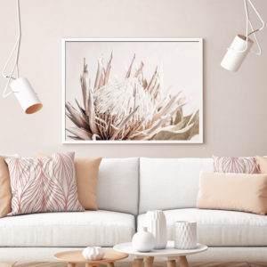 Wall art - Pure Protea II - Canvas Prints - Poster Prints