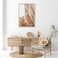 Wall art - Horse - Canvas Prints - Poster Prints - Image 4