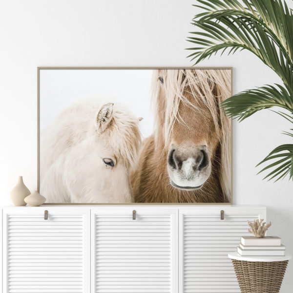 Wall art - Horses - Canvas Prints - Poster Prints - Image 4