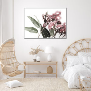 Wall art - Eucalyptus in Bloom - Canvas Prints - Poster Prints