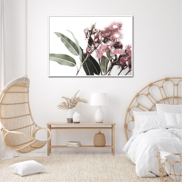 Wall art - Eucalyptus in Bloom - Canvas Prints - Poster Prints