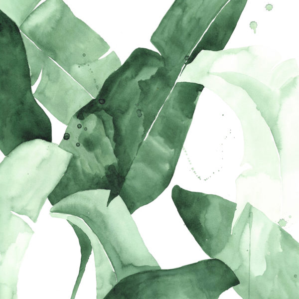 Wall Art - Tropical Leaves Square Size - Canvas Prints-Poster Prints - Image 2