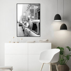 Wall art - Black and White Alpaca in Taxi New York City - Canvas Prints - Poster Prints