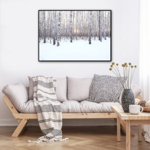 Wall art - Winter birch grove - Canvas Prints - Poster Prints