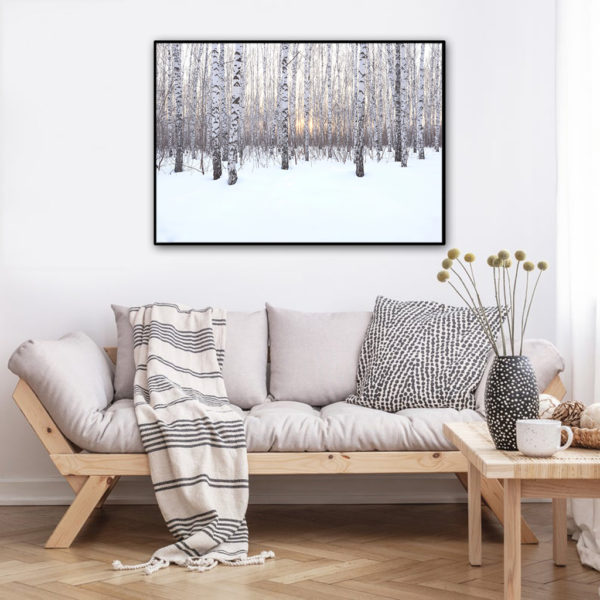 Wall art - Winter birch grove - Canvas Prints - Poster Prints