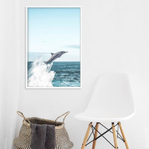 Wall art - Dolphin - Canvas Prints - Poster Prints